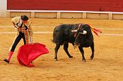 Toros 771